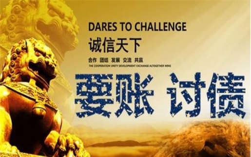 南平信贷风险化解：老司机亲测有效的司法催收与征信修复全攻略